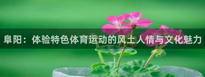 3377体育：阜阳：体验特色体育运动的风土人情与文化魅力