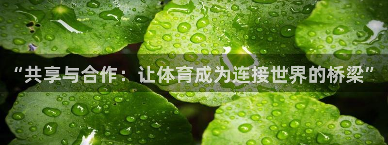 3377体育手机平台：“共享与合作：让体育成为连接世界的桥梁”