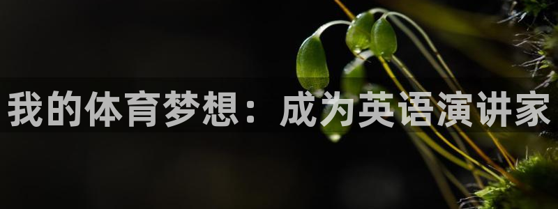 3377体育网页登录入口：我的体育梦想：成为英语演讲家