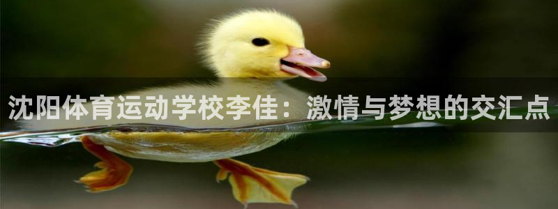 3377体育app登录入口：沈阳体育运动学校李佳：激情与梦想的交汇点