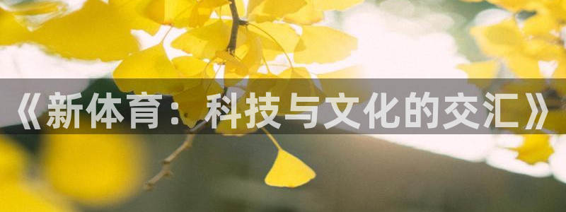 3377体育官网：《新体育：科技与文化的交汇》