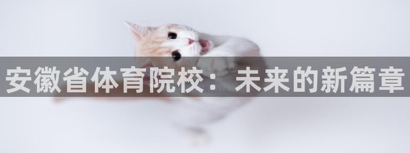 3377体育app登录入口：安徽省体育院校：未来的新篇章