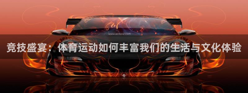 3377体育全网：竞技盛宴：体育运动如何丰富我们的生活与文化体验