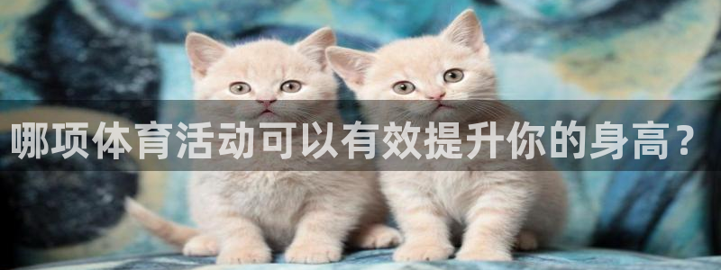 3377体育app登录入口：哪项体育活动可以有效提升你的身高？