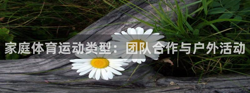 3377体育官网入口下载最新：家庭体育运动类型：团队合作与户外活动