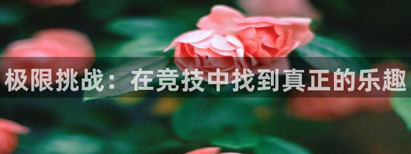 3377体育在线登录官网入口：极限挑战：在竞技中找到真正的乐趣