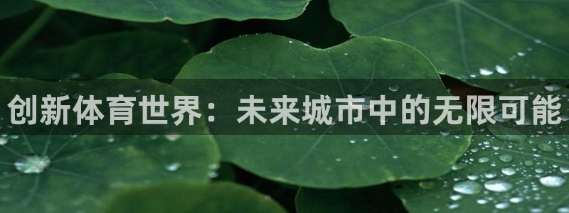 3377体育：创新体育世界：未来城市中的无限可能